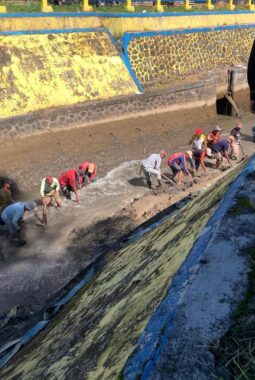 Dampak Banjir Sungai Ketahun, Petani Gotong Royong Membersikan Saluran DAM